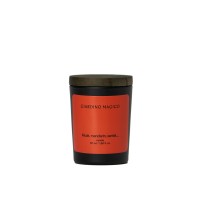 GIARDINO MAGICO Парфюмированная свеча (в коробке) Musk, mandarin, santal (50 мл)